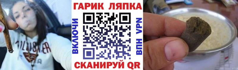ГАШ Ice-O-Lator  Елизаветинская 