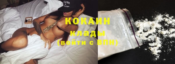 прущие грибы Абаза