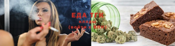 прущие грибы Абаза