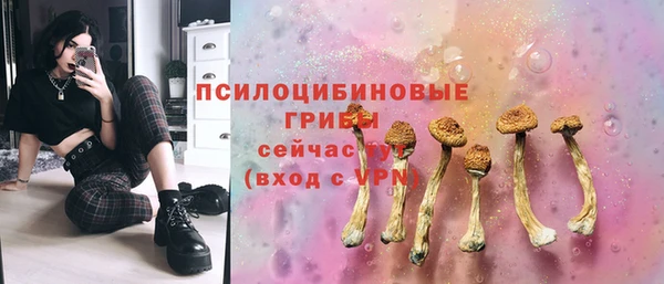 прущие грибы Абаза