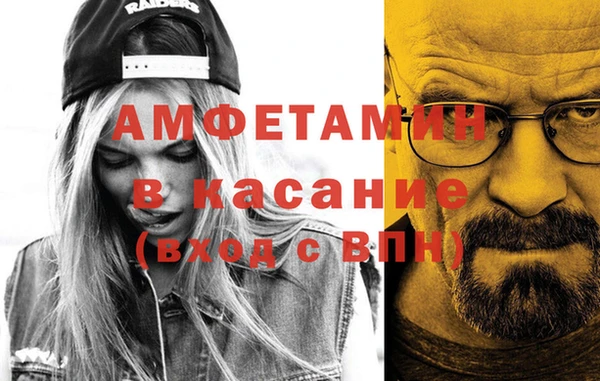 прущие грибы Абаза